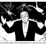 illustrations for Case Law course